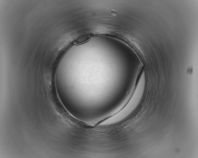 X0000091010539200708162000