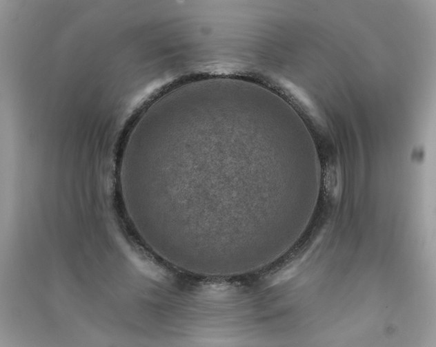 X0000091010540200708162000