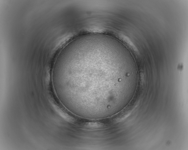 X0000091010541200708162000