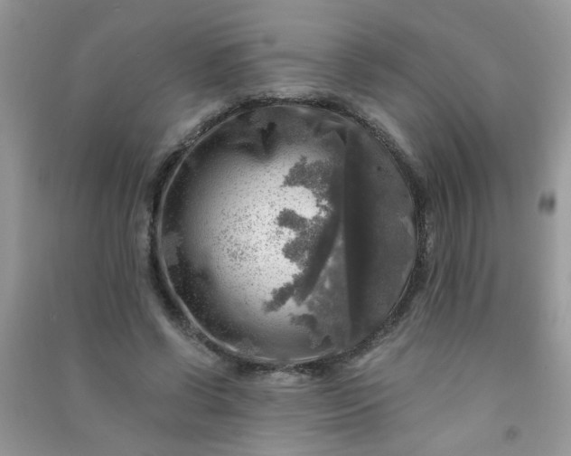 X0000091010542200708162000