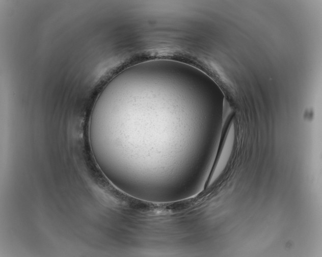 X0000091010543200708162000