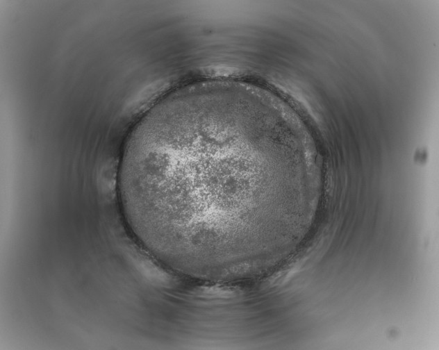 X0000091010545200708162000