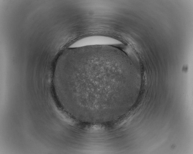 X0000091010546200708162000