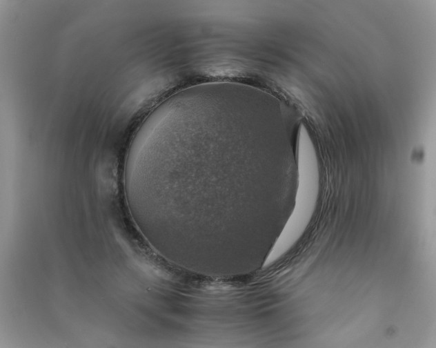 X0000091010547200708162000