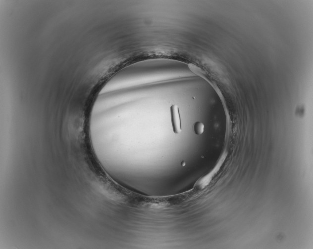 X0000091010548200708162000