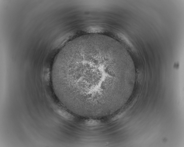 X0000091010549200708162000