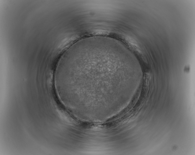 X0000091010550200708162000