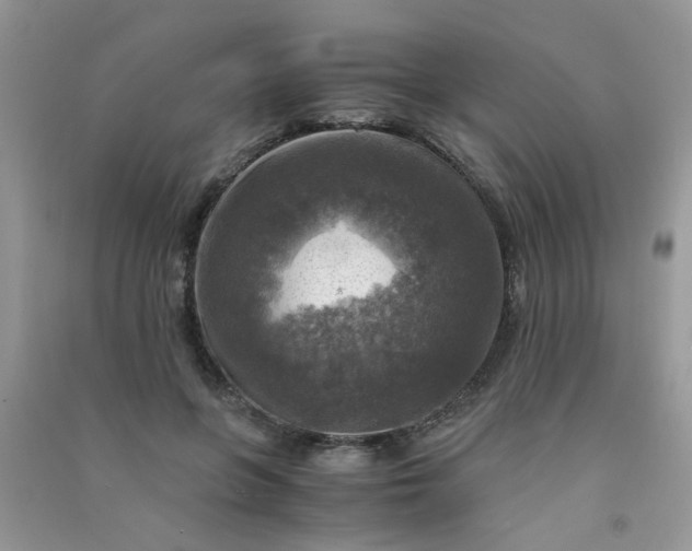 X0000091010551200708162000