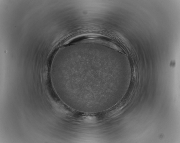 X0000091010552200708162000