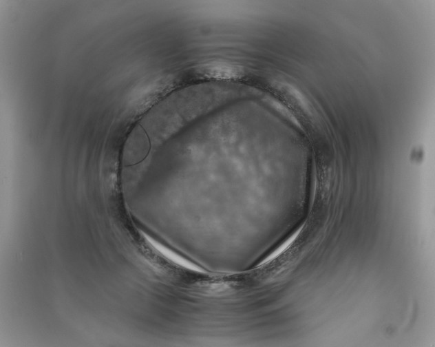 X0000091010553200708162000