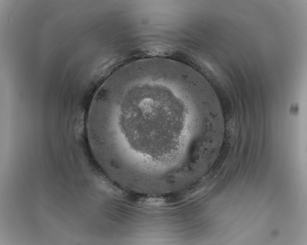 X0000091010554200708162000