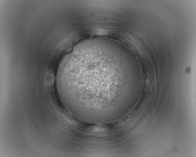 X0000091010555200708162000