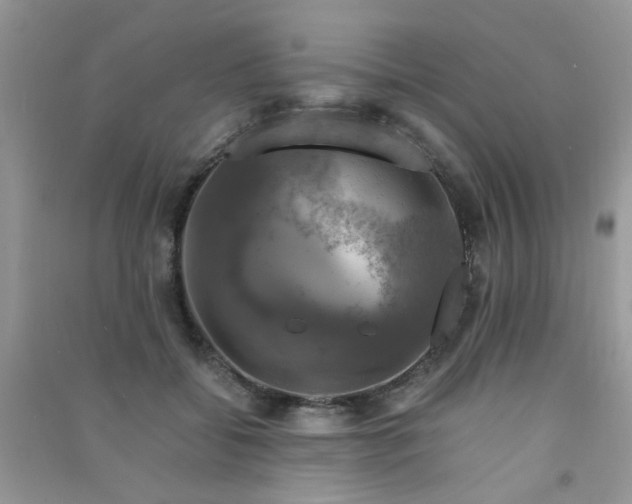 X0000091010556200708162001