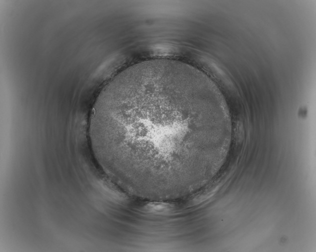 X0000091010557200708162001