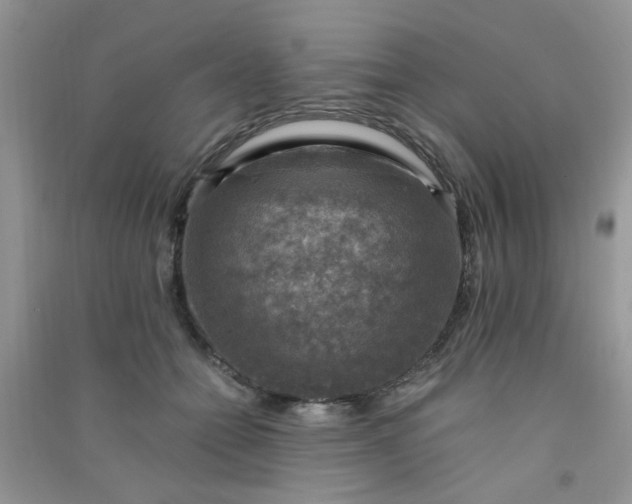 X0000091010558200708162001