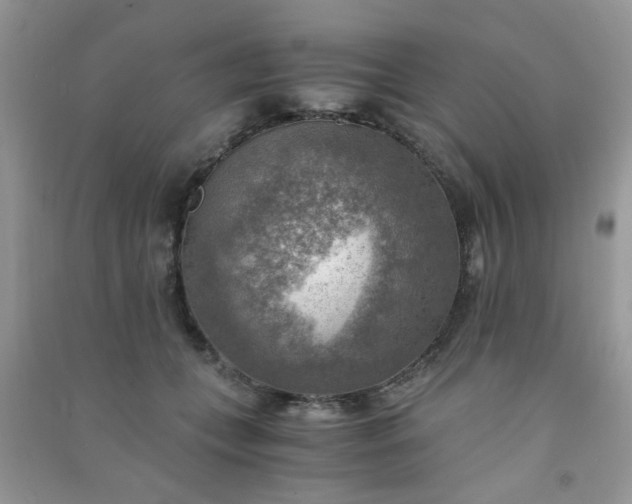 X0000091010559200708162001