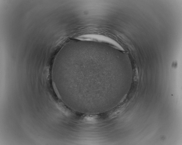 X0000091010560200708162001