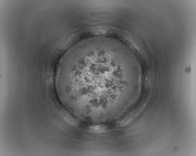 X0000091010561200708162001