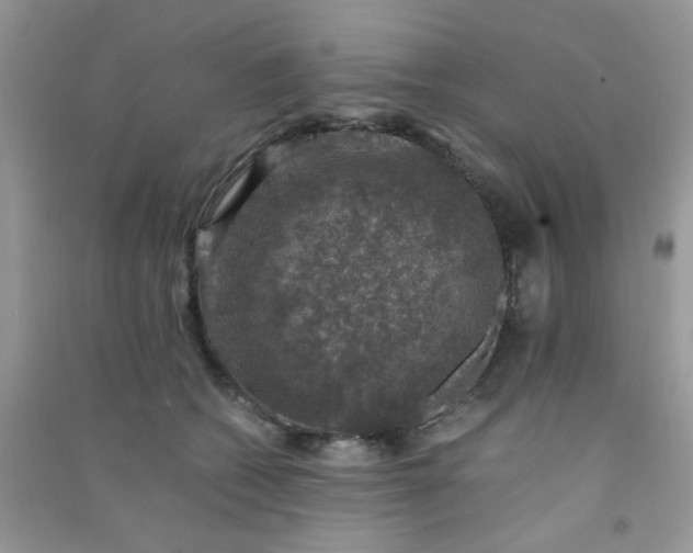 X0000091010562200708162001