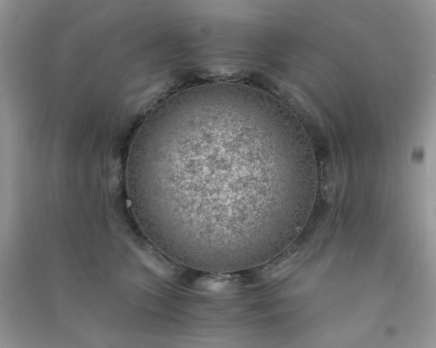 X0000091010563200708162001