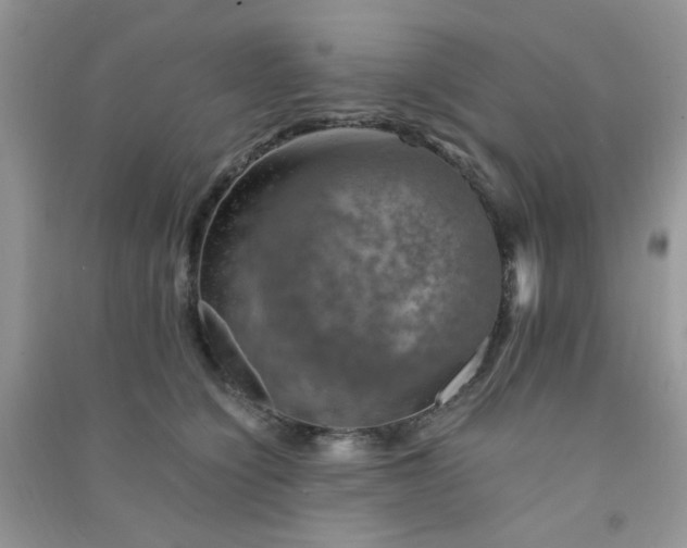 X0000091010564200708162001