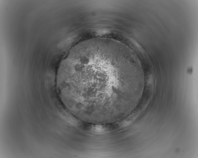 X0000091010565200708162001