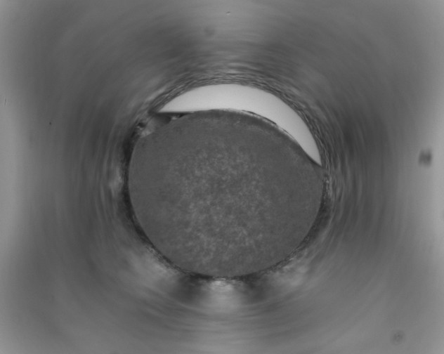 X0000091010566200708162001