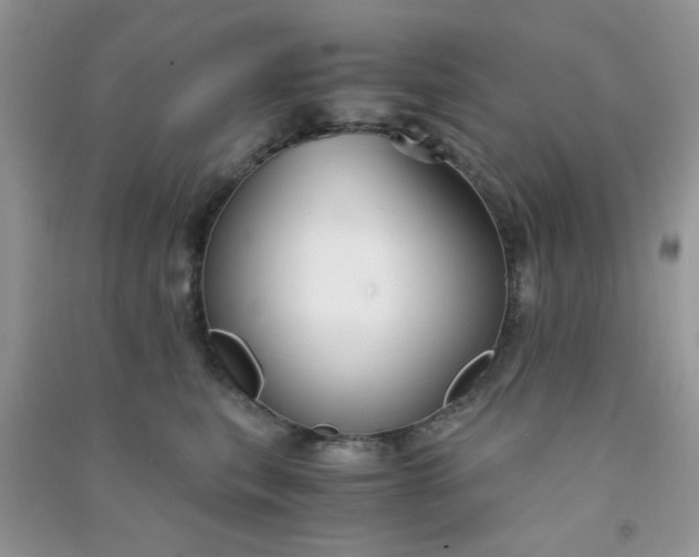 X0000091010567200708162001