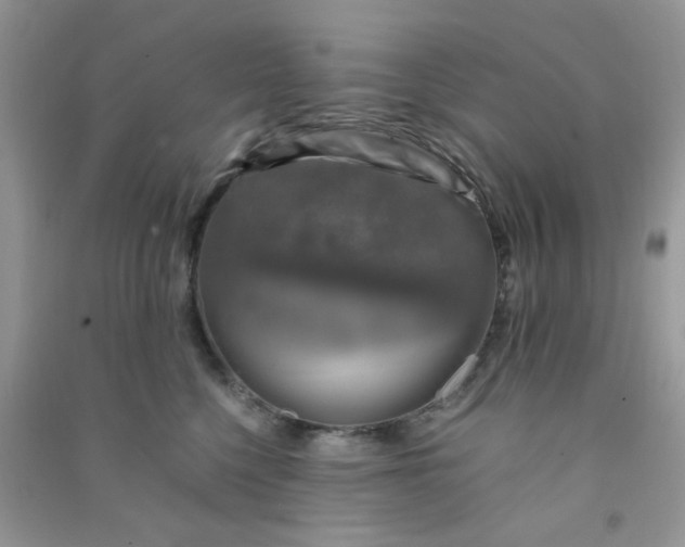 X0000091010568200708162001