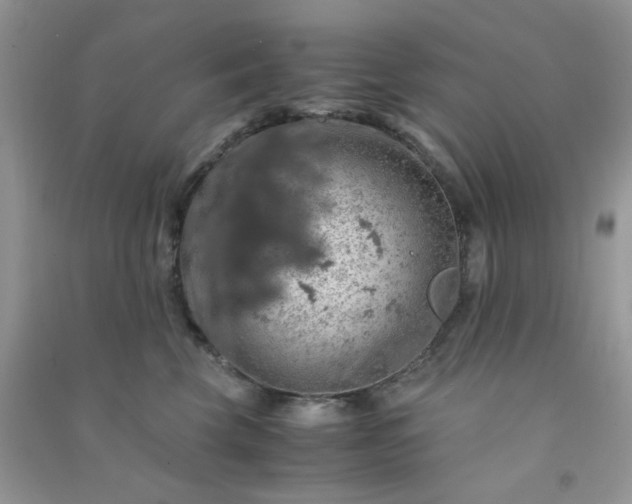 X0000091010569200708162001