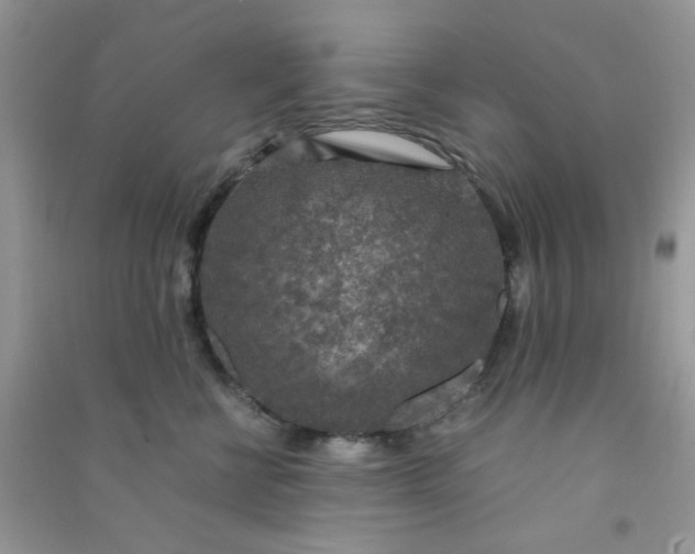 X0000091010570200708162001