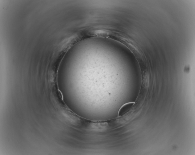 X0000091010571200708162001