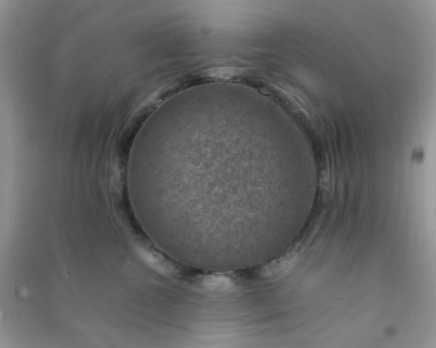 X0000091010572200708162001