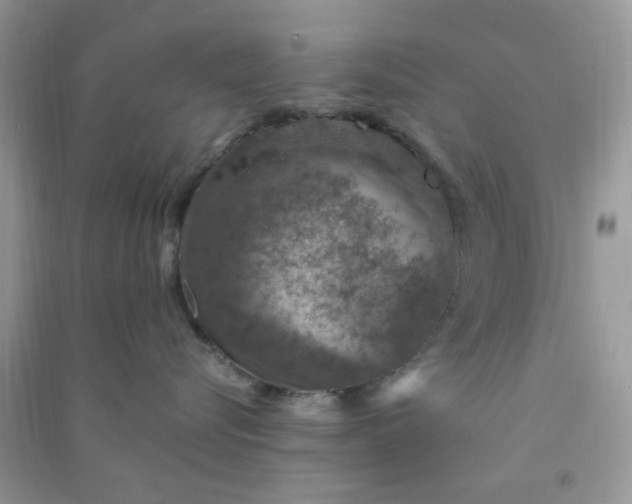 X0000091010576200708162001