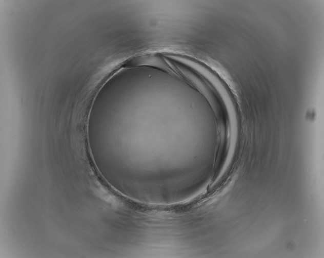 X0000091010577200708162000