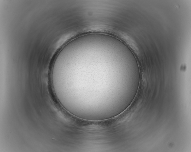 X0000091010578200708162000