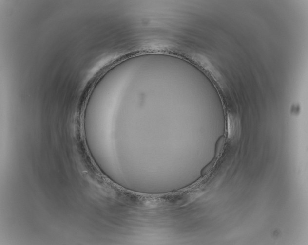 X0000091010579200708162000