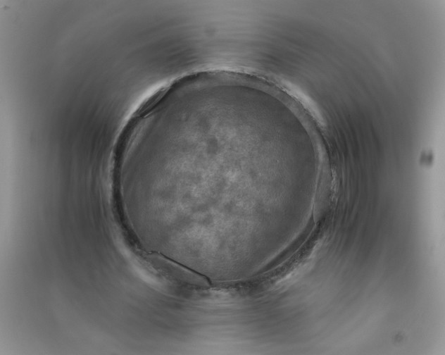 X0000091010580200708162000