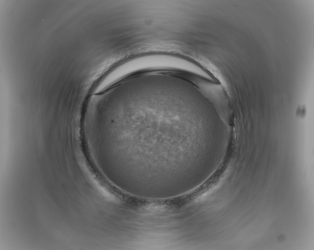 X0000091010581200708162000