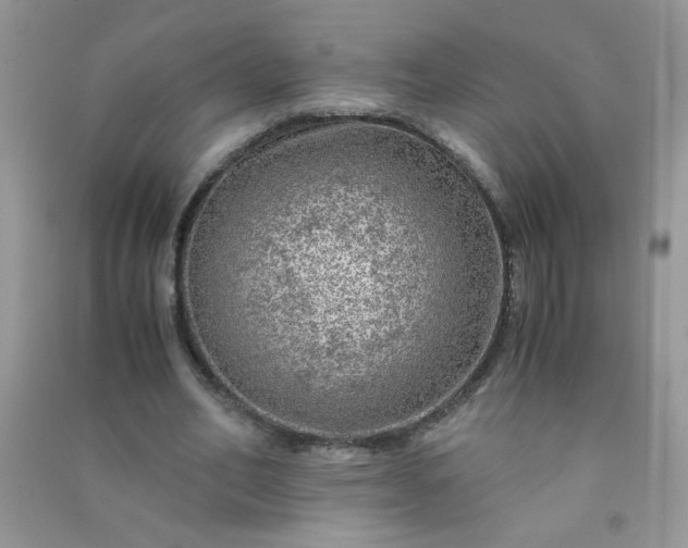 X0000091010582200708162000