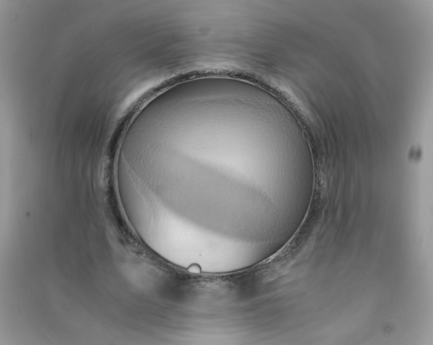 X0000091010583200708162000