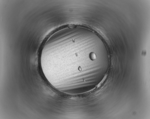 X0000091010584200708162000