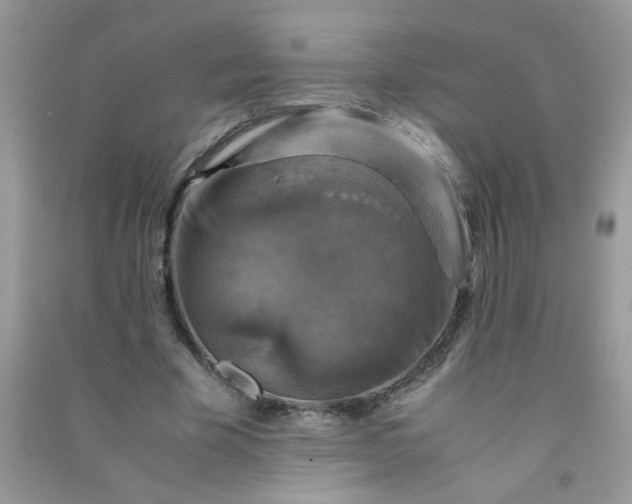 X0000091010585200708162000