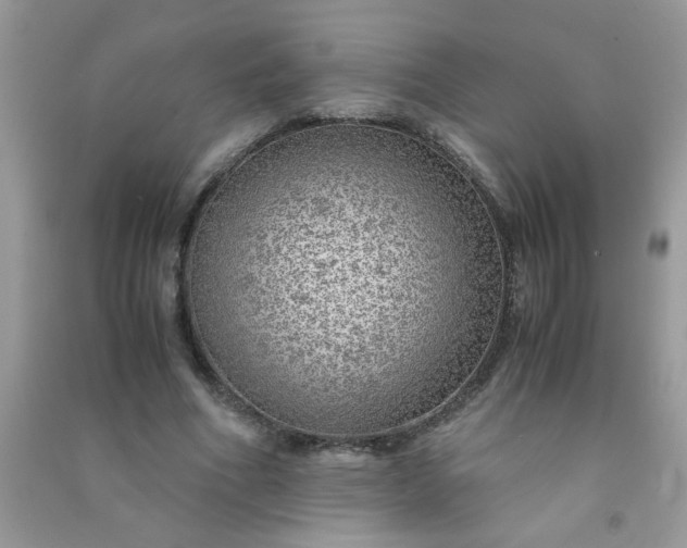 X0000091010586200708162000