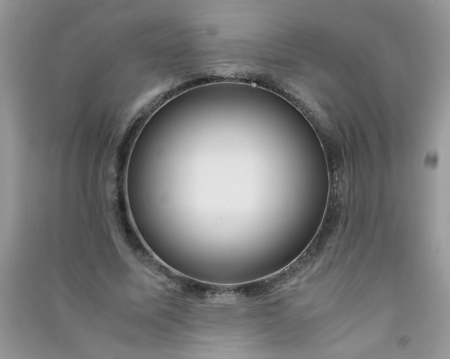 X0000091010587200708162000