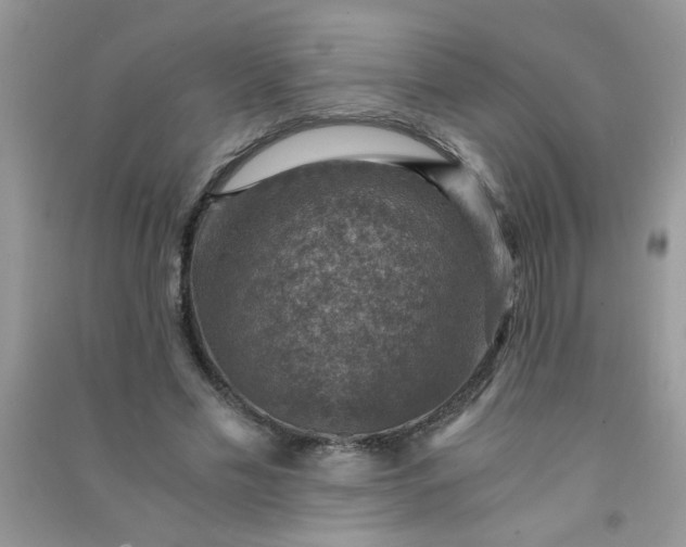 X0000091010589200708162000