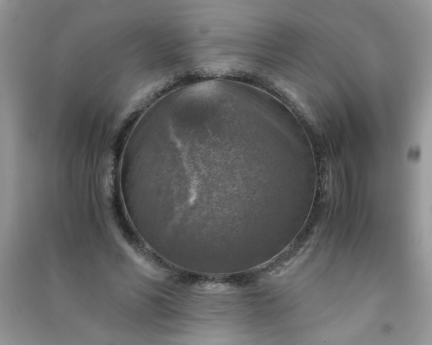 X0000091010590200708162000