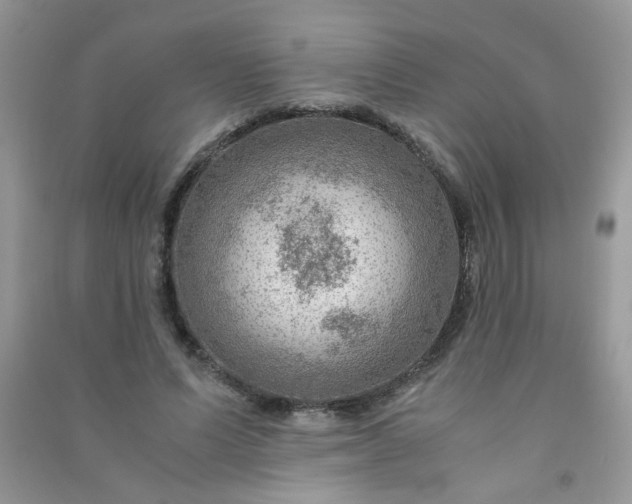 X0000091010591200708162000