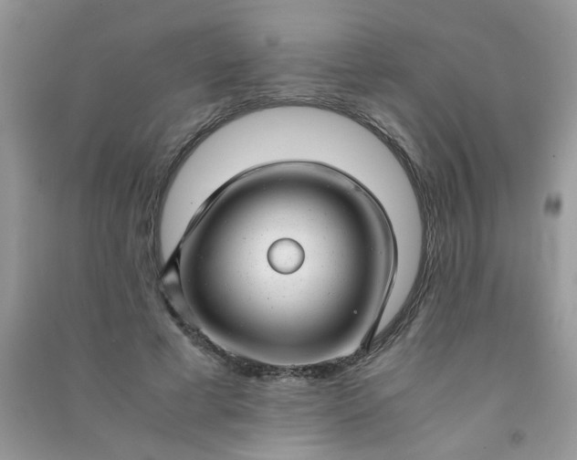 X0000091010593200708162000