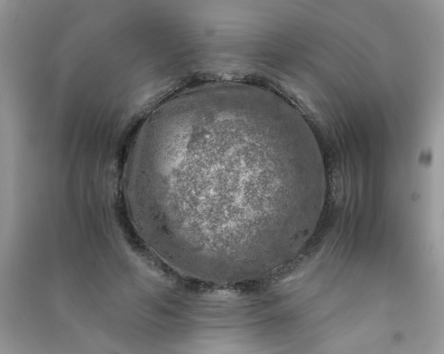 X0000091010594200708162000